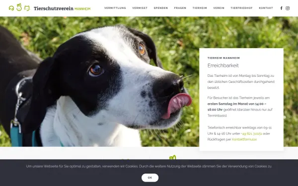www.tierheim-mannheim.de