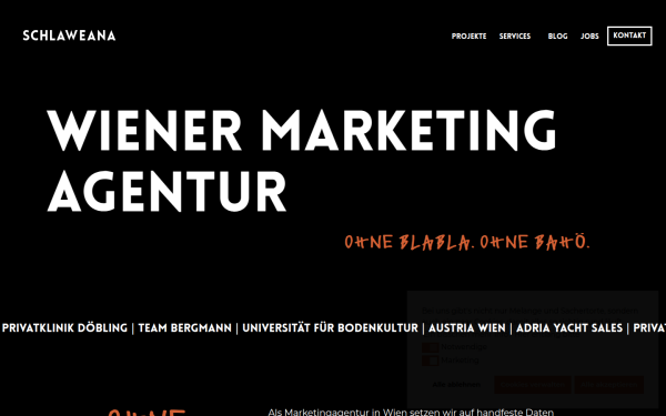 schlaweana.agency