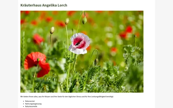 www.naturheilmittel-angelika-lorch.de