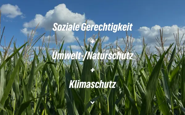gruene-nidderau.de