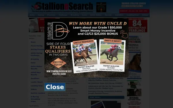 stallionesearch.com