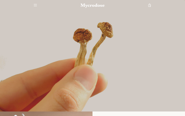 magicmushroomscenter.com