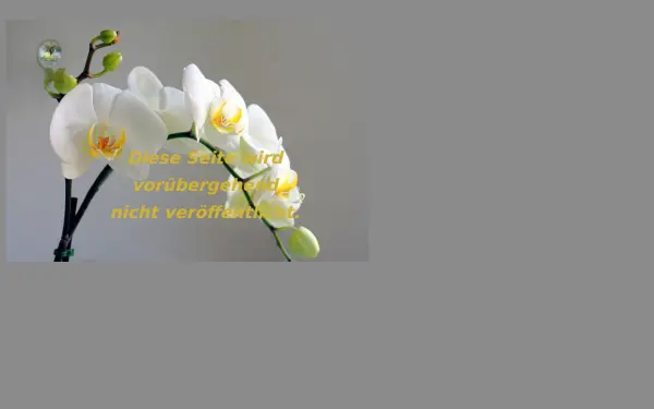 atelier-sandra-braun.de