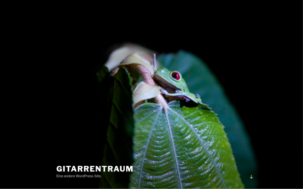 gitarrentraum.de