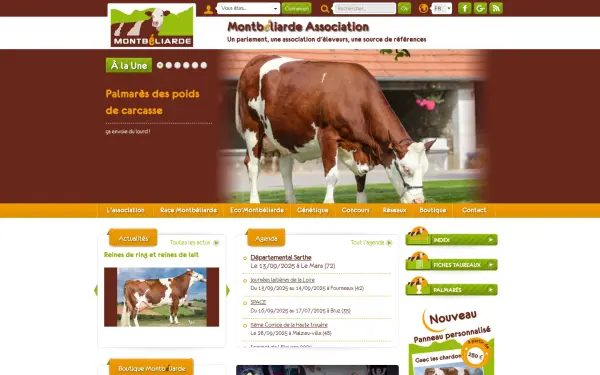 www.montbeliarde.org