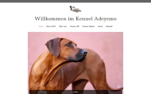 www.himmelreich-adeyemo.de