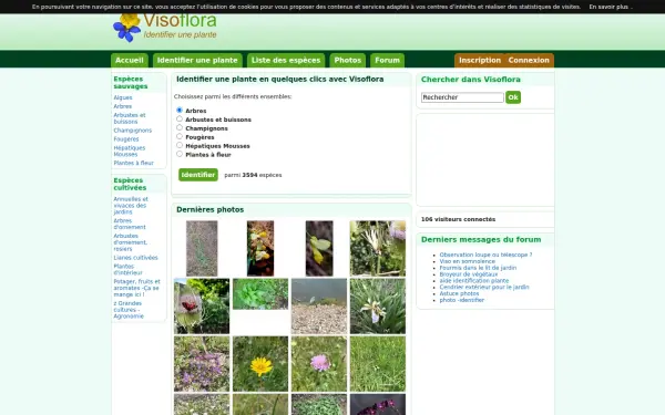 www.visoflora.com
