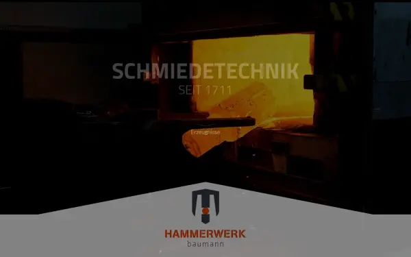 www.hammerwerk-baumann-kg.de