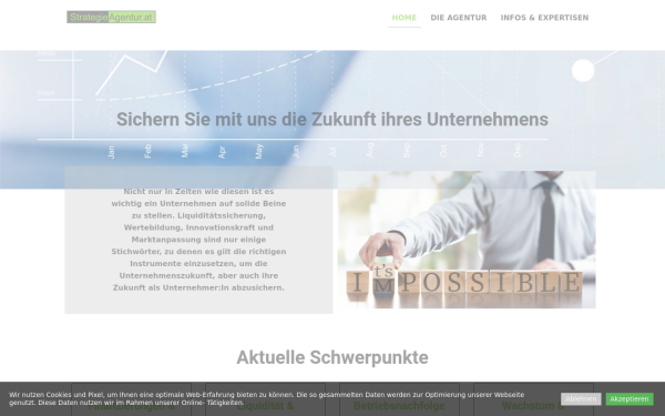 strategieagentur.at
