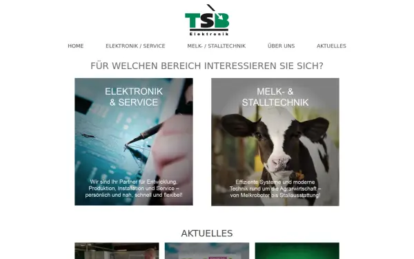 www.tsb-elektronik.com