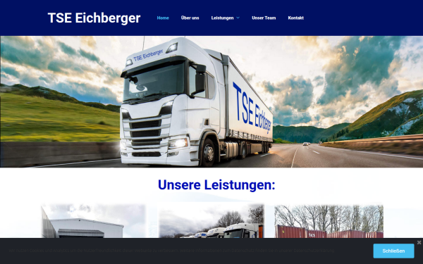 tse-eichberger.at