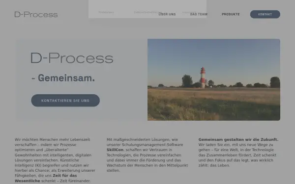 d-process.de