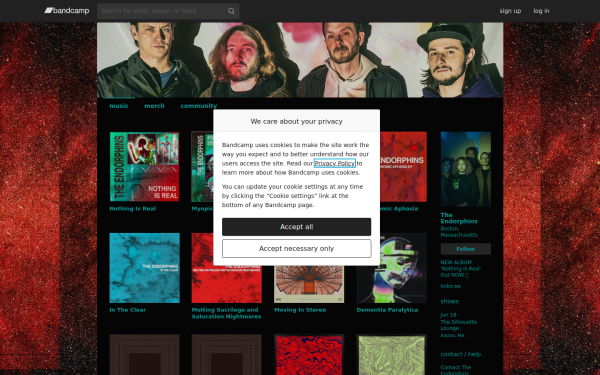 theendorphinsma.bandcamp.com