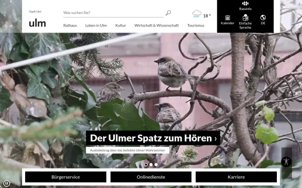 www.ulm.de