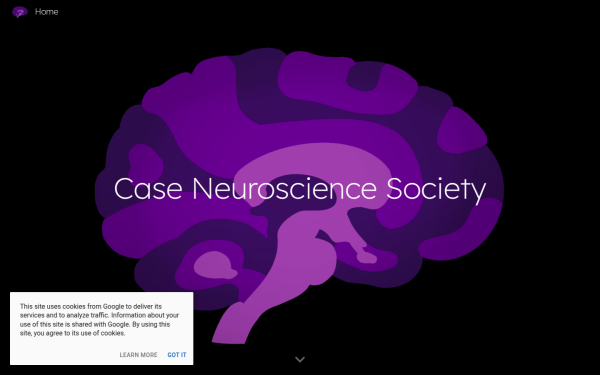 www.caseneurosociety.org