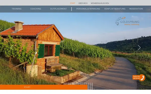 www.goldsprung.de