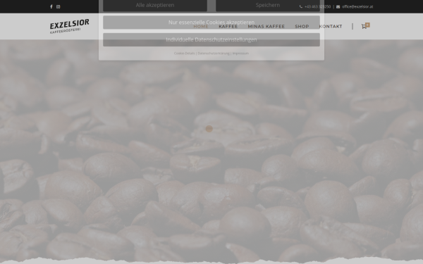 exzelsior.at