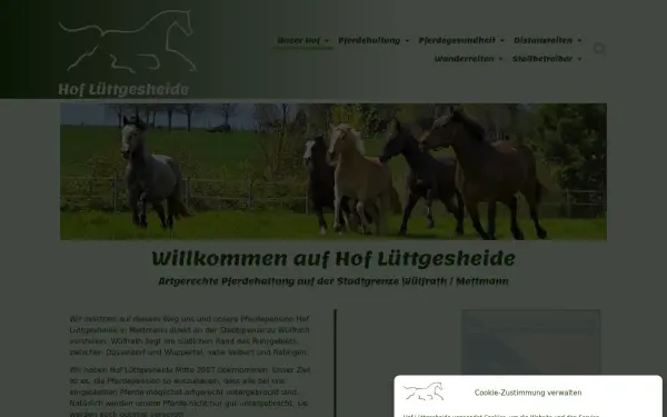www.hof-luettgesheide.de