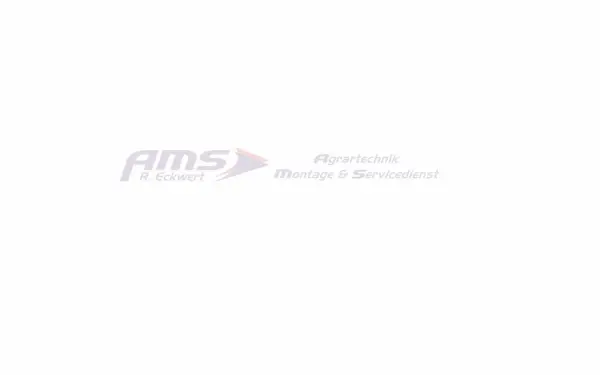 ams-eckwert.de
