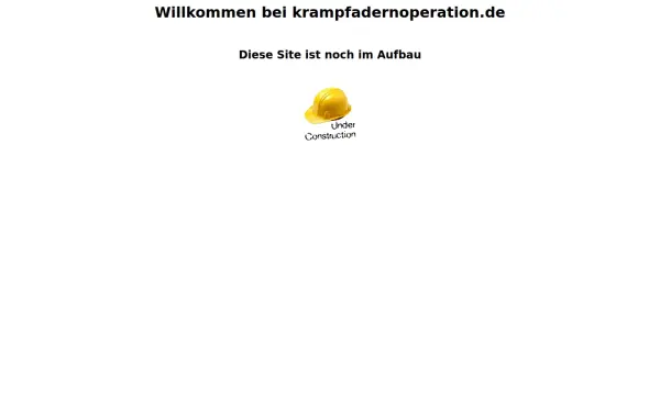 aneurysmachirurgie.de