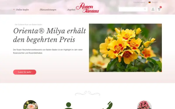 www.rosen-tantau.com
