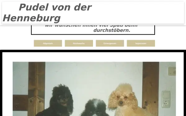 www.pudel-von-der-henneburg.de