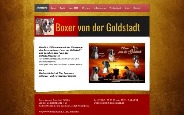 www.goldstadtboxer.de