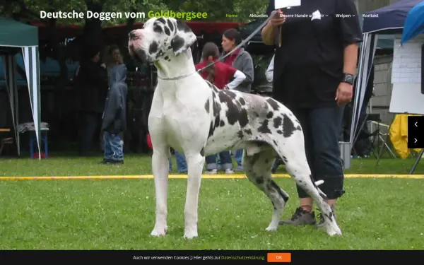 doggen-vom-goldbergsee.de