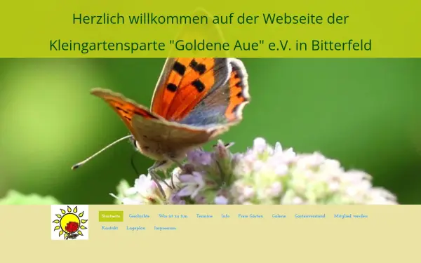 goldene-aue-bitterfeld.de