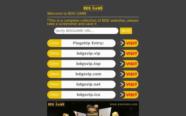 bdgtop.com