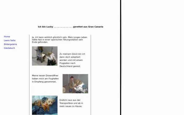 lucky-web.de
