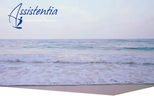 www.assistentia.de
