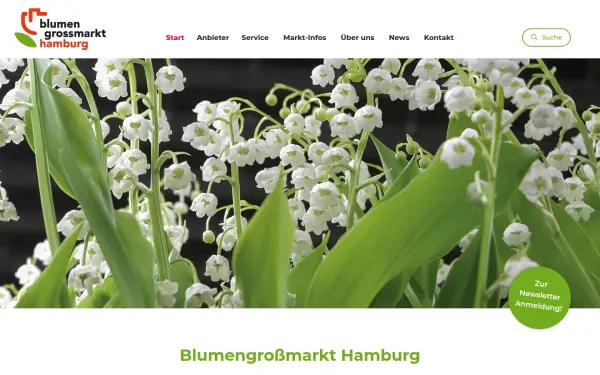 www.blumengrossmarkt-hh.de