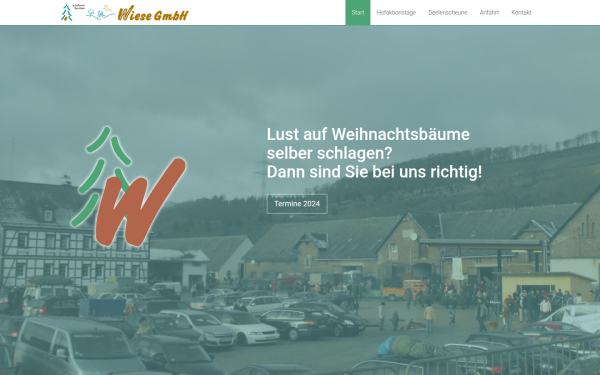 norbertwiese.de