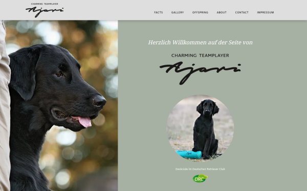 ajari.rockenthien.de