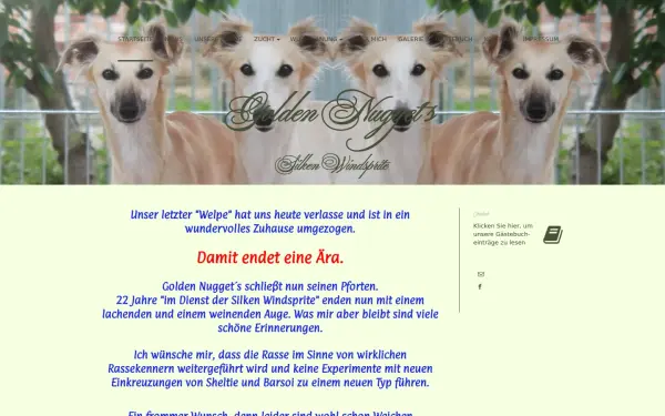 goldennuggets-online.de