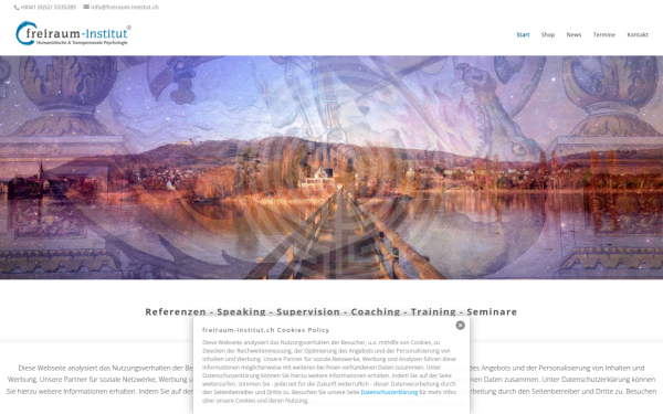 freiraum-institut.ch