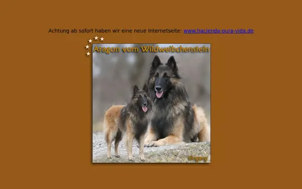 aragon-vom-wildweibchenstein.de