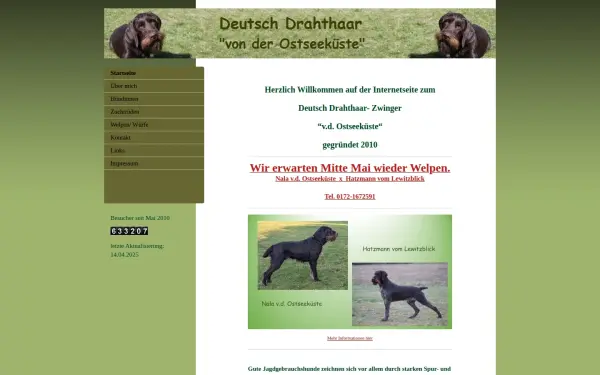 www.drahthaar-mv.de