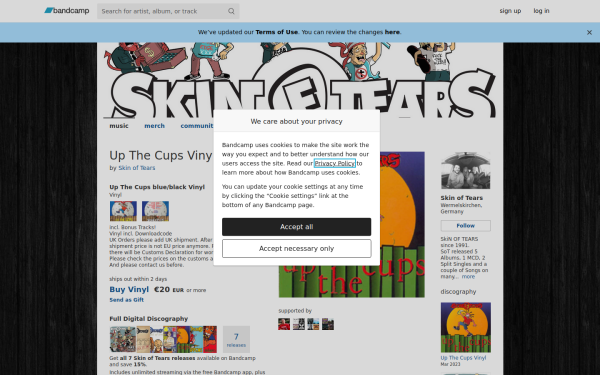 skinoftears1.bandcamp.com