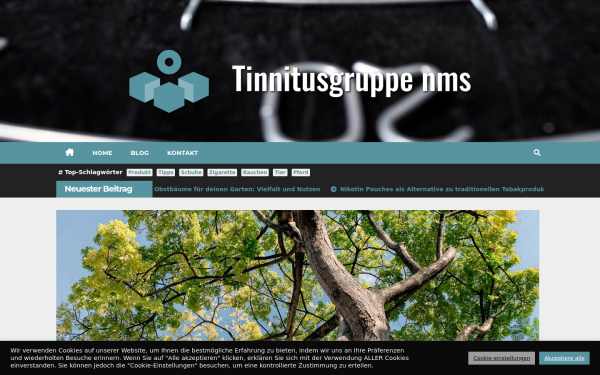 tinnitusgruppe-nms.de