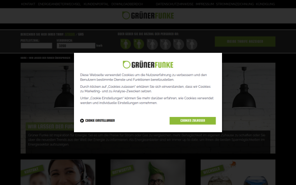 gruenerfunke.de