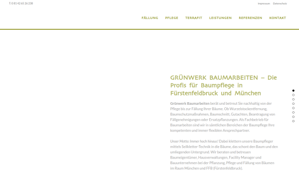 gruenwerk-baumarbeiten.de