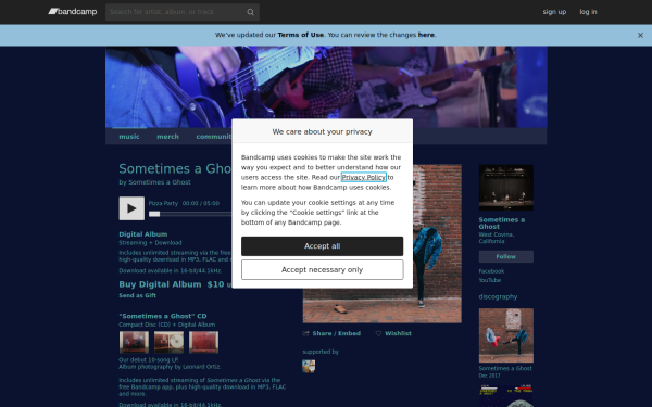 sometimesaghost.bandcamp.com