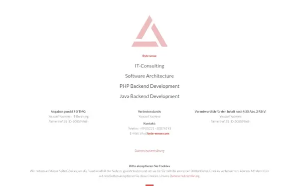 byte-sense.com