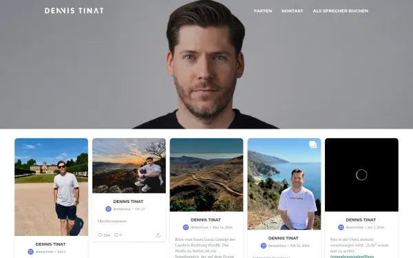 www.dennistinat.com