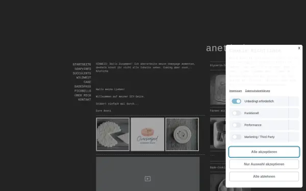 www.aneti.de
