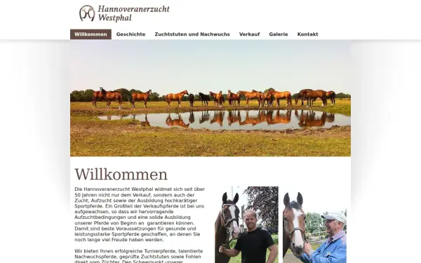 www.hannoveranerzucht-westphal.de