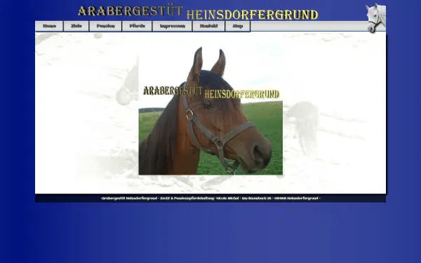 araber-gestuet-heinsdorfergrund.de