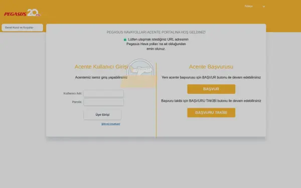 acente.flypgs.com